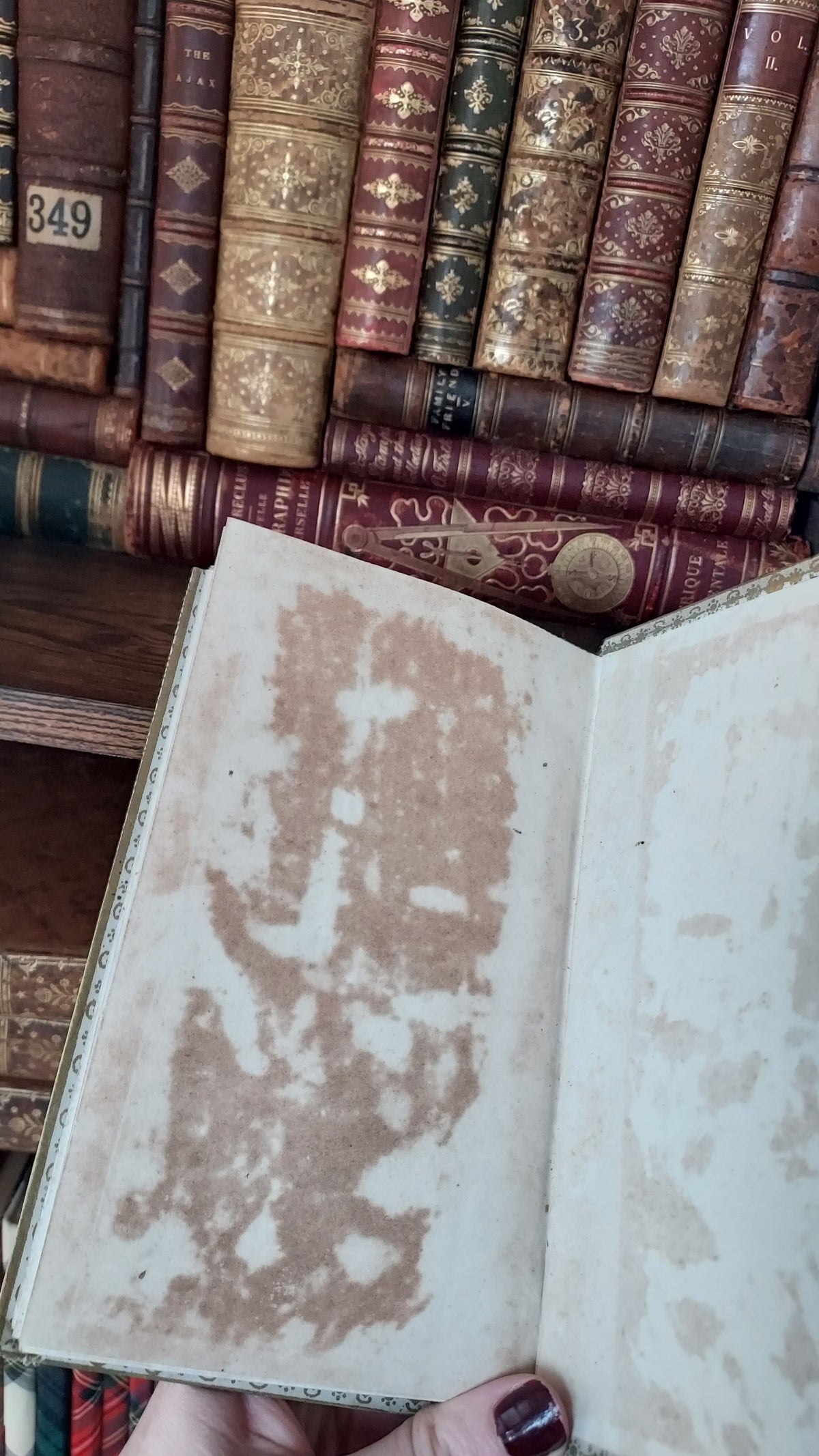 Histoire de Sainte Élisabeth de Hongrie | Mame Decorative Cartonnage Binding