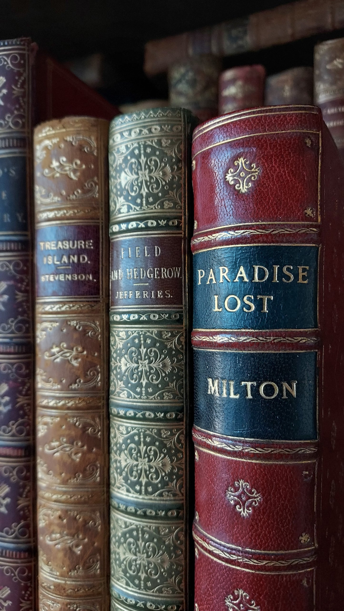 1897 Field and Hedgegrow | St. Andrew's School Fine Prize Binding