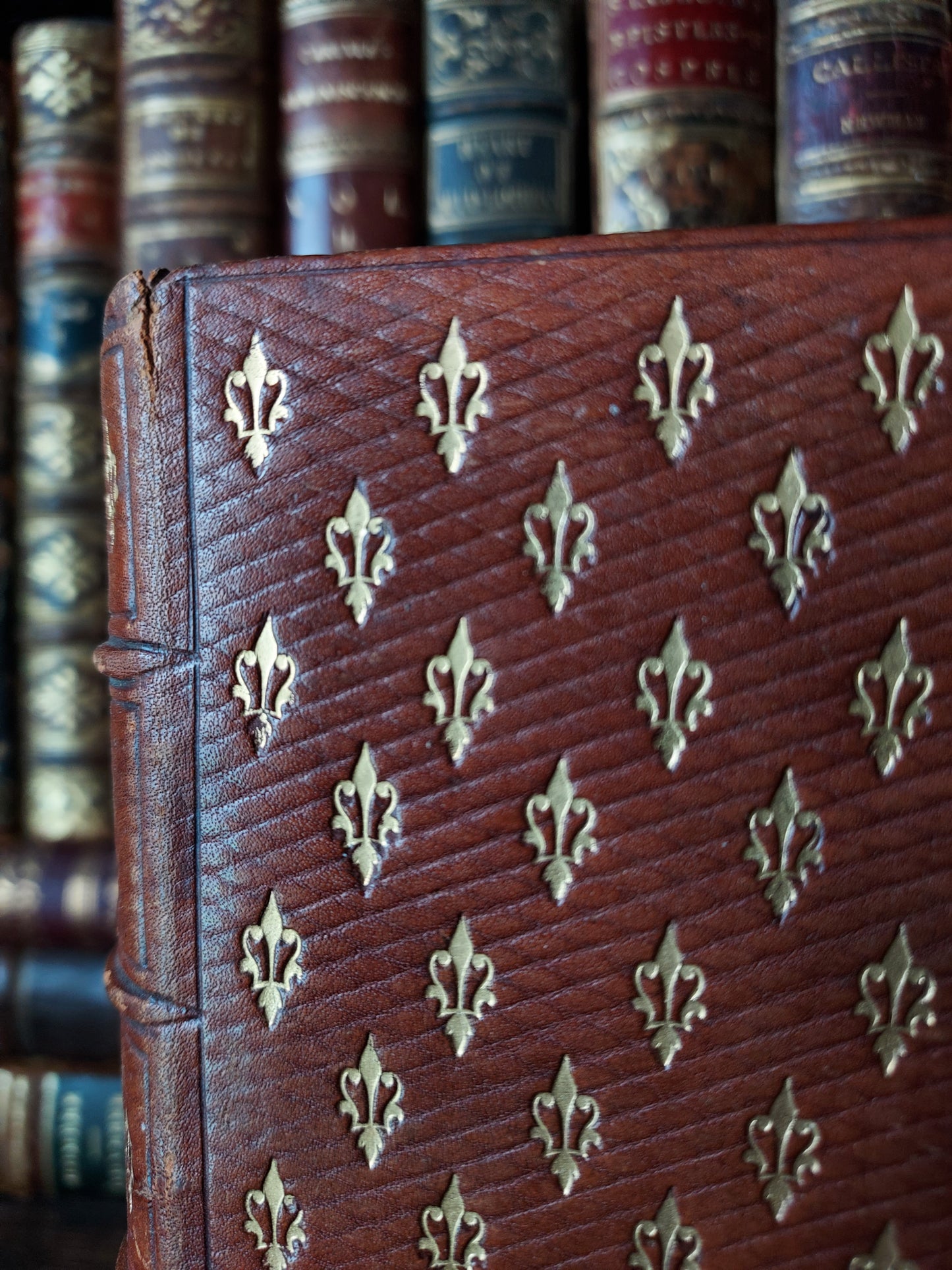 1860s Livre D'Heures Selon le Rit Romain: Gauffered Edges, Fleur-de-Lis Cover