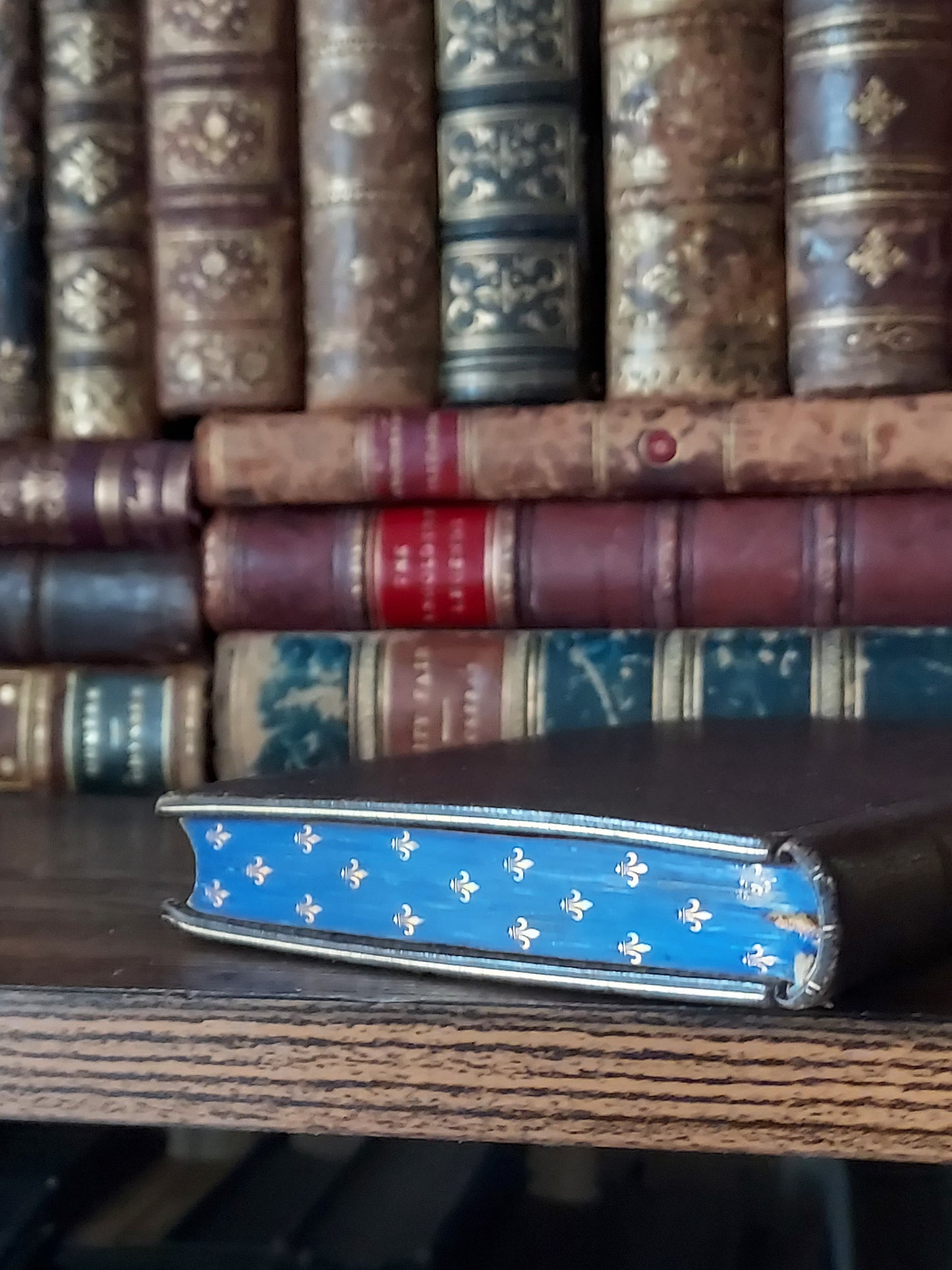 1874 Les Apprêts du beau jour: First Communion Book feat. Blue Pages & Fleur-De-Lis