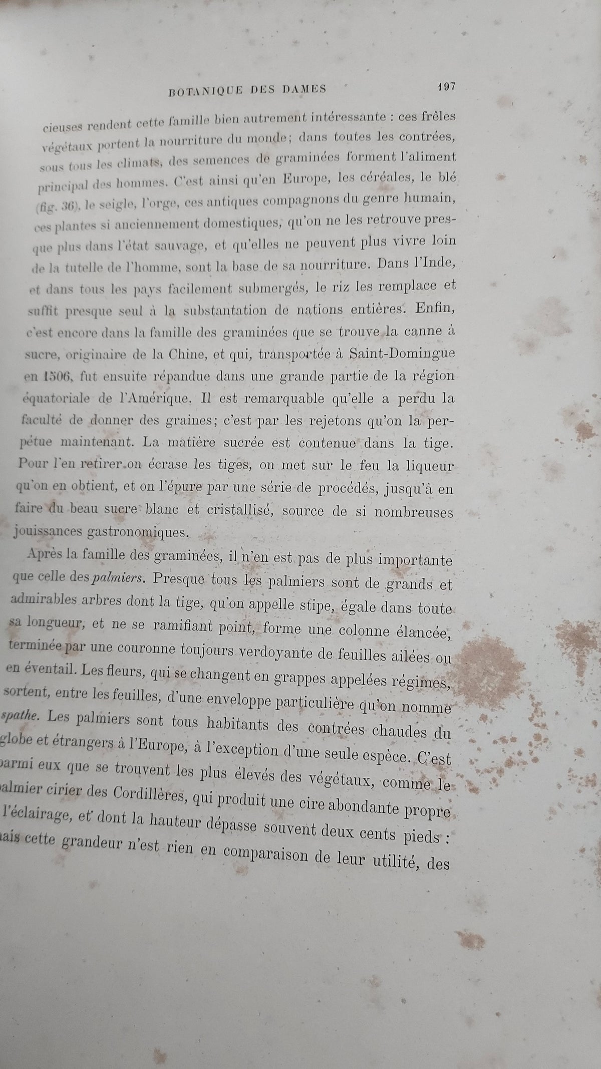 1867 Les Fleurs Animées | Grandville Brown Leather 2-Volume Set