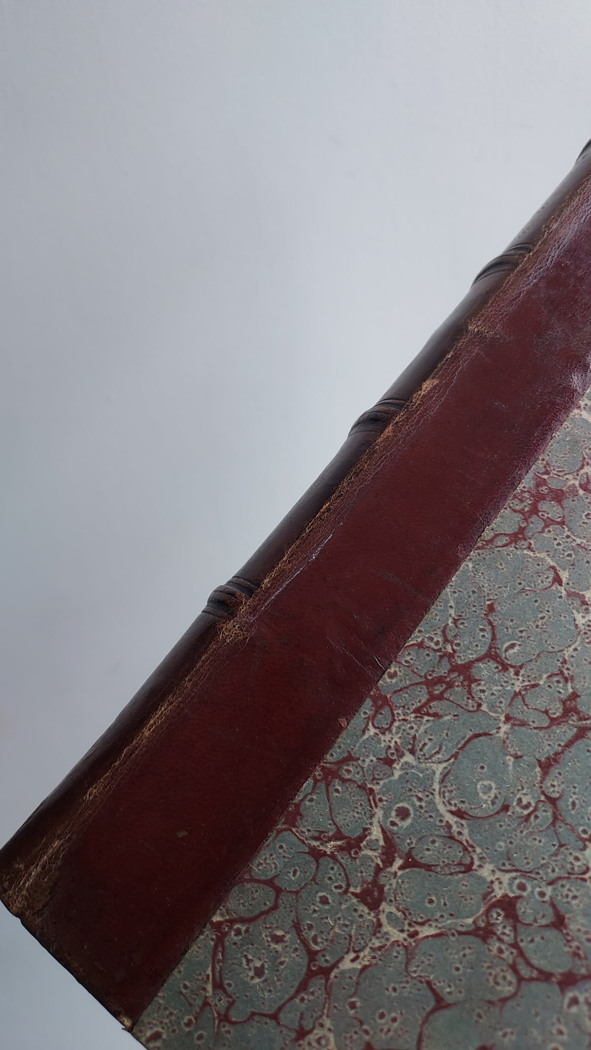 1867 Les Fleurs Animées | Grandville Brown Leather 2-Volume Set