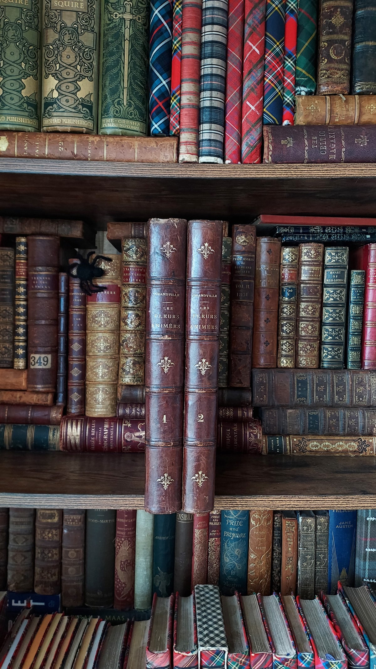 1867 Les Fleurs Animées | Grandville Brown Leather 2-Volume Set