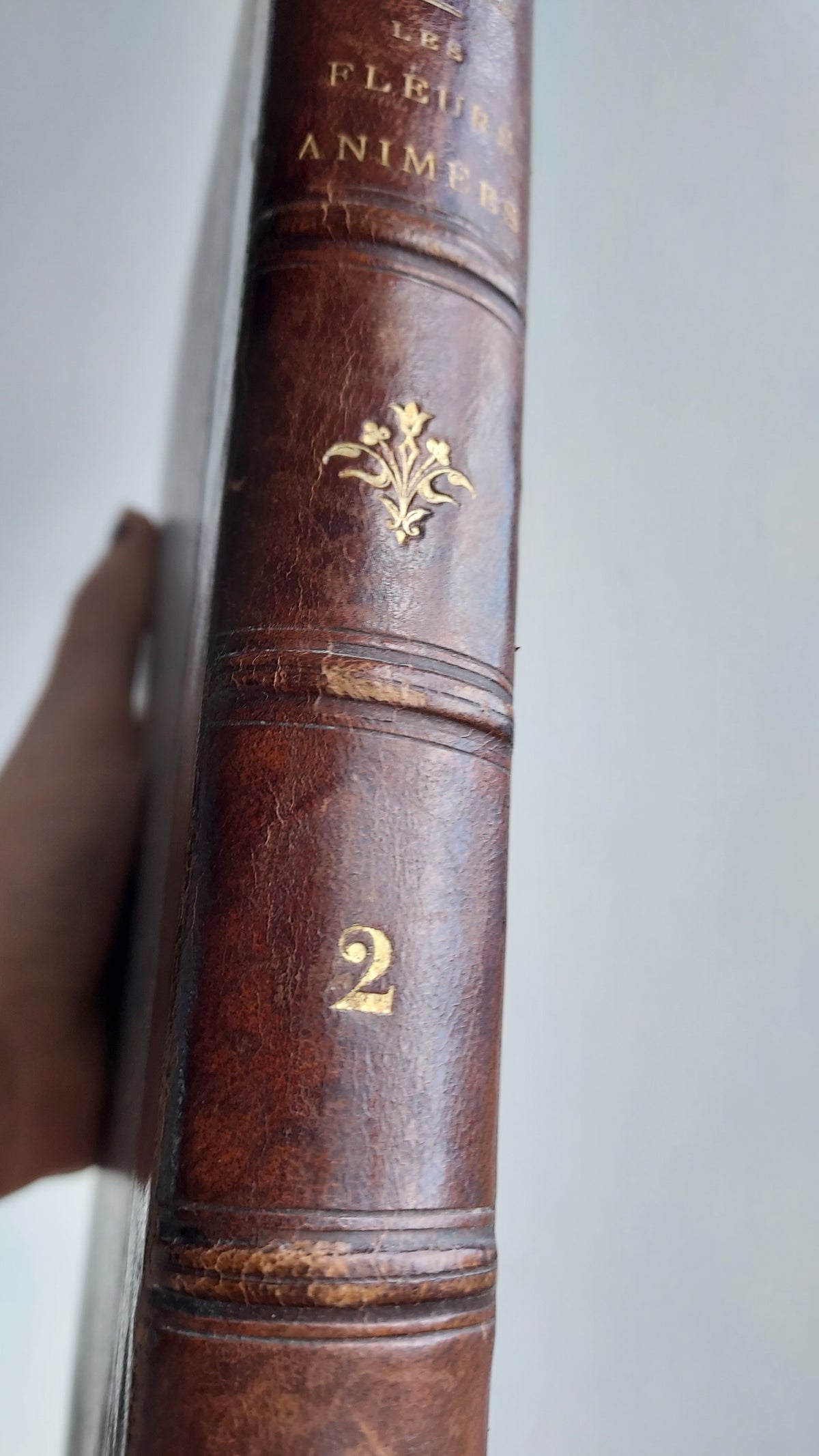 1867 Les Fleurs Animées | Grandville Brown Leather 2-Volume Set