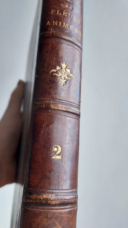 1867 Les Fleurs Animées | Grandville Brown Leather 2-Volume Set