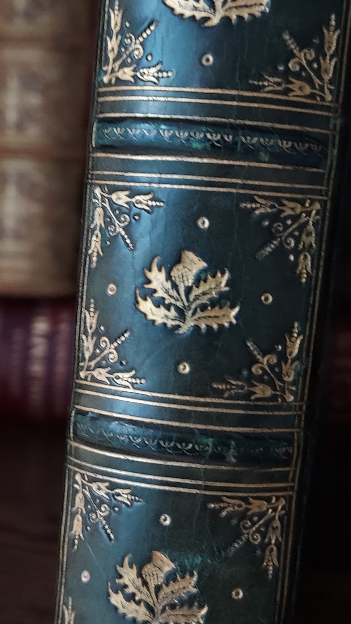 1804 The Shipwreck: A Poem | Green Leather & Thistles