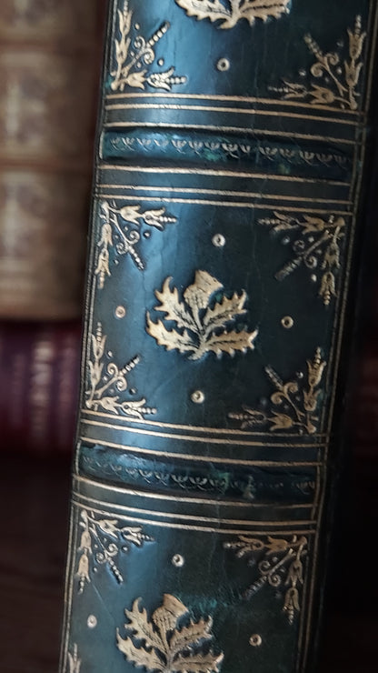 1804 The Shipwreck: A Poem | Green Leather & Thistles