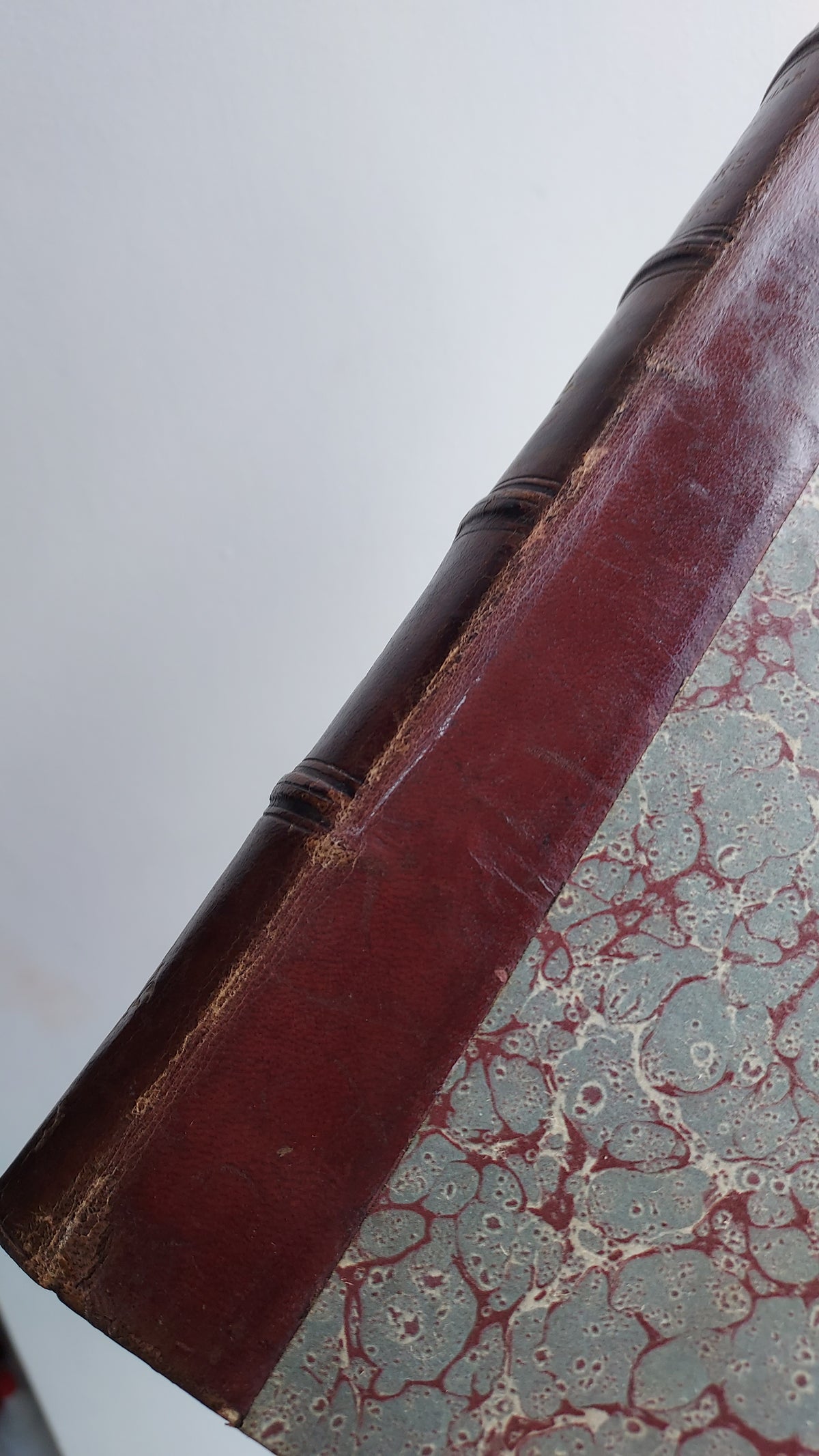 1867 Les Fleurs Animées | Grandville Brown Leather 2-Volume Set