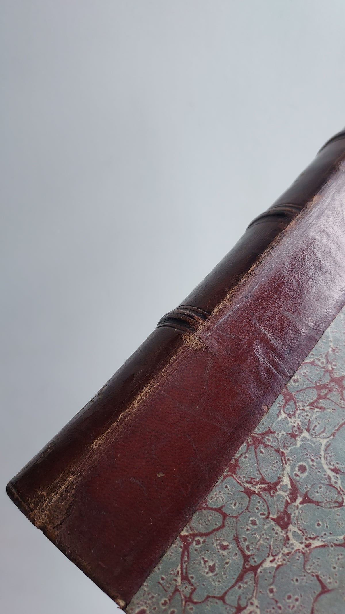 1867 Les Fleurs Animées | Grandville Brown Leather 2-Volume Set