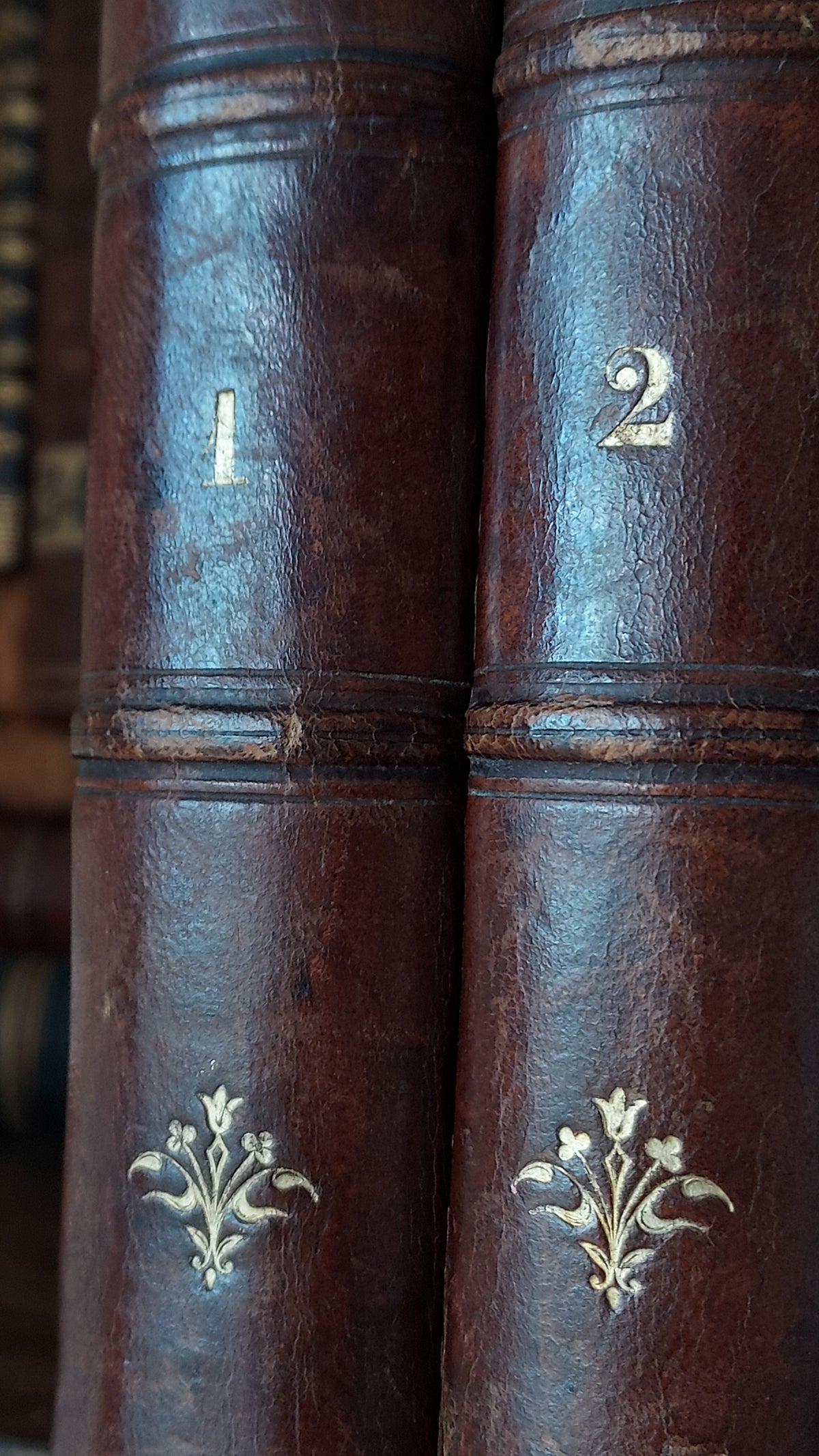 1867 Les Fleurs Animées | Grandville Brown Leather 2-Volume Set