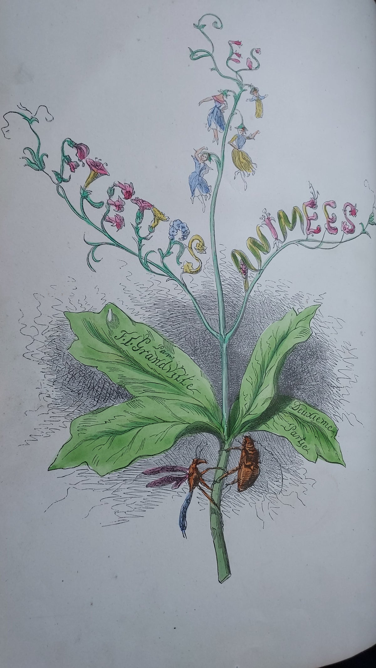1867 Les Fleurs Animées | Grandville Brown Leather 2-Volume Set