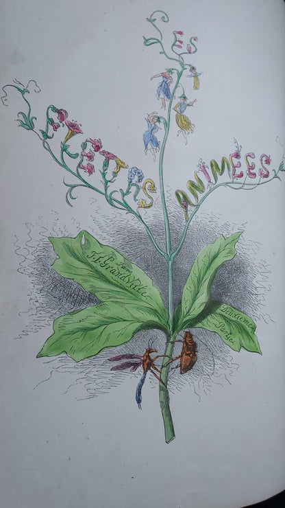 1867 Les Fleurs Animées | Grandville Brown Leather 2-Volume Set