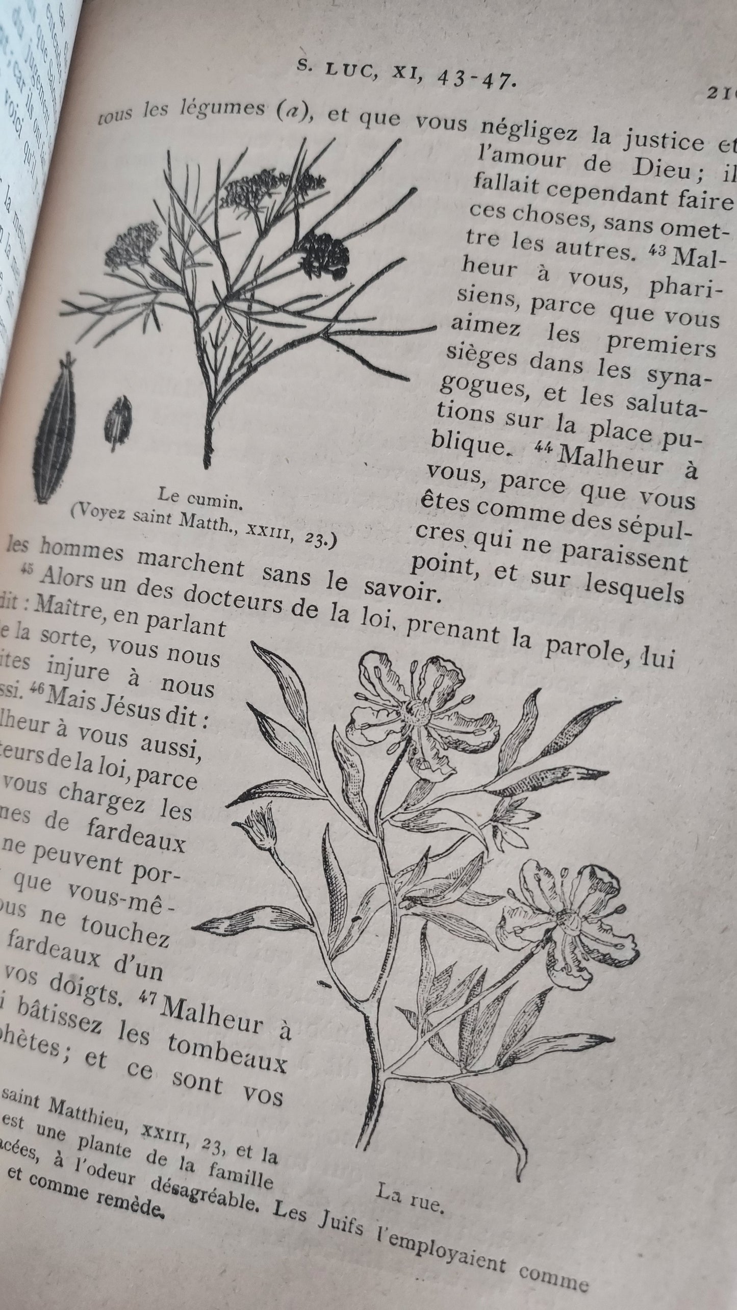 1902 Le Nouveau Testament & Prayer Card | Hand-Illuminated, Stamped by L. Angeli