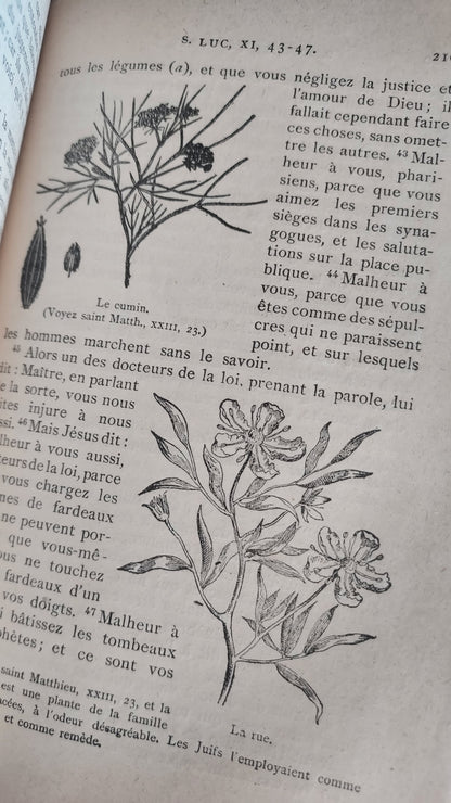 1902 Le Nouveau Testament & Prayer Card | Hand-Illuminated, Stamped by L. Angeli