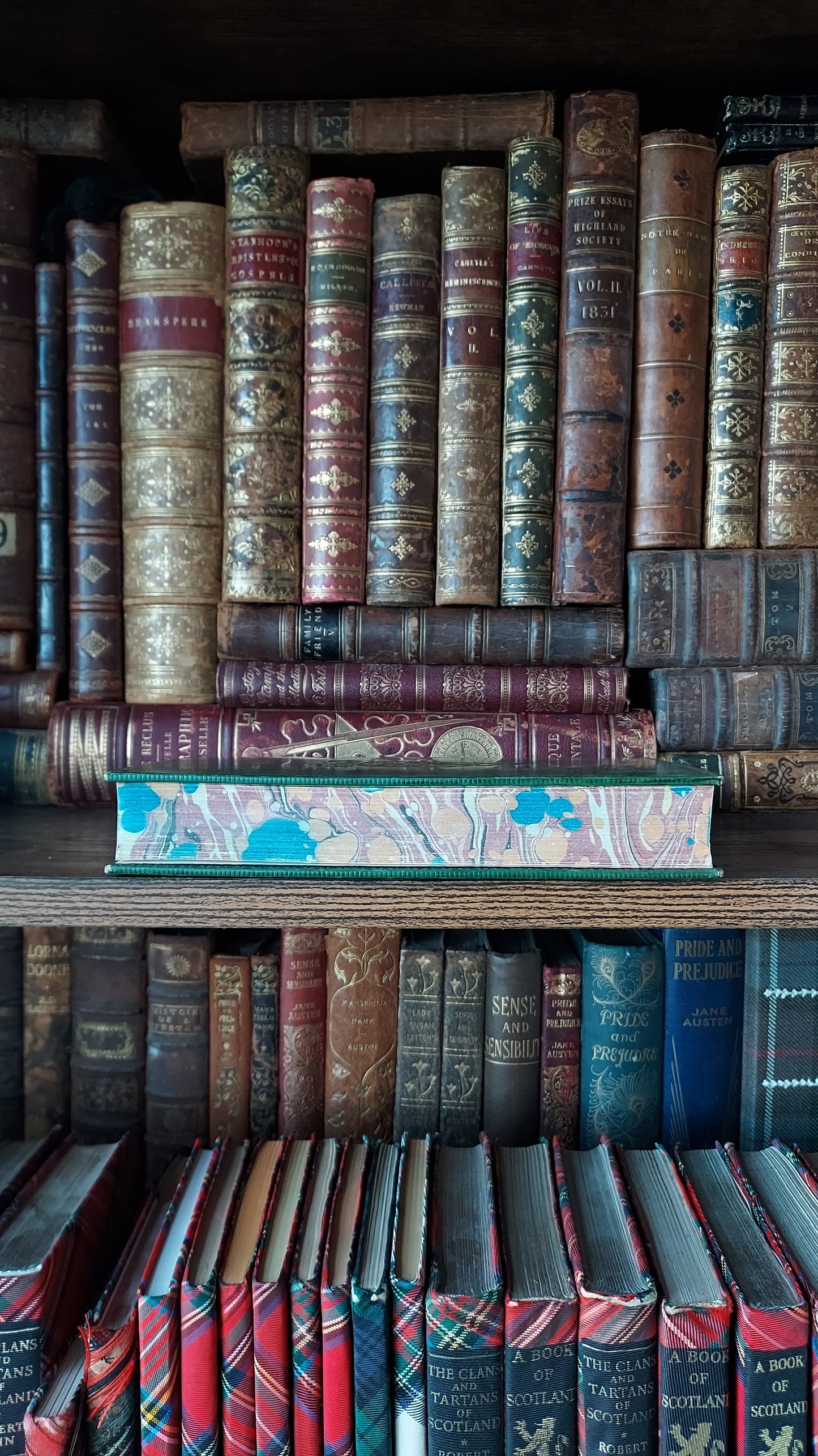 1897 Field and Hedgegrow | St. Andrew's School Fine Prize Binding