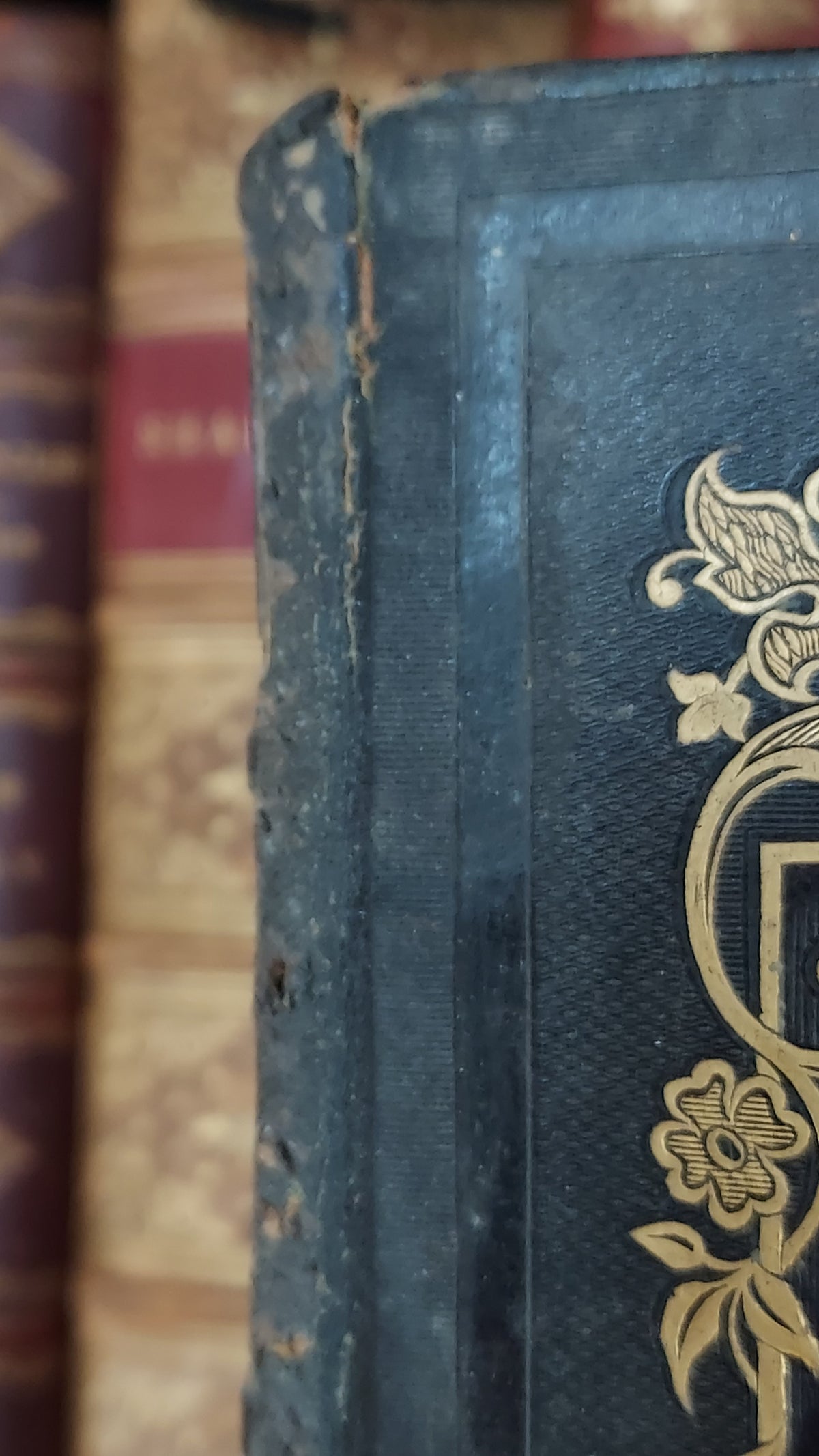 1845 Pierre Saintive | Vine Motif Cartonnage