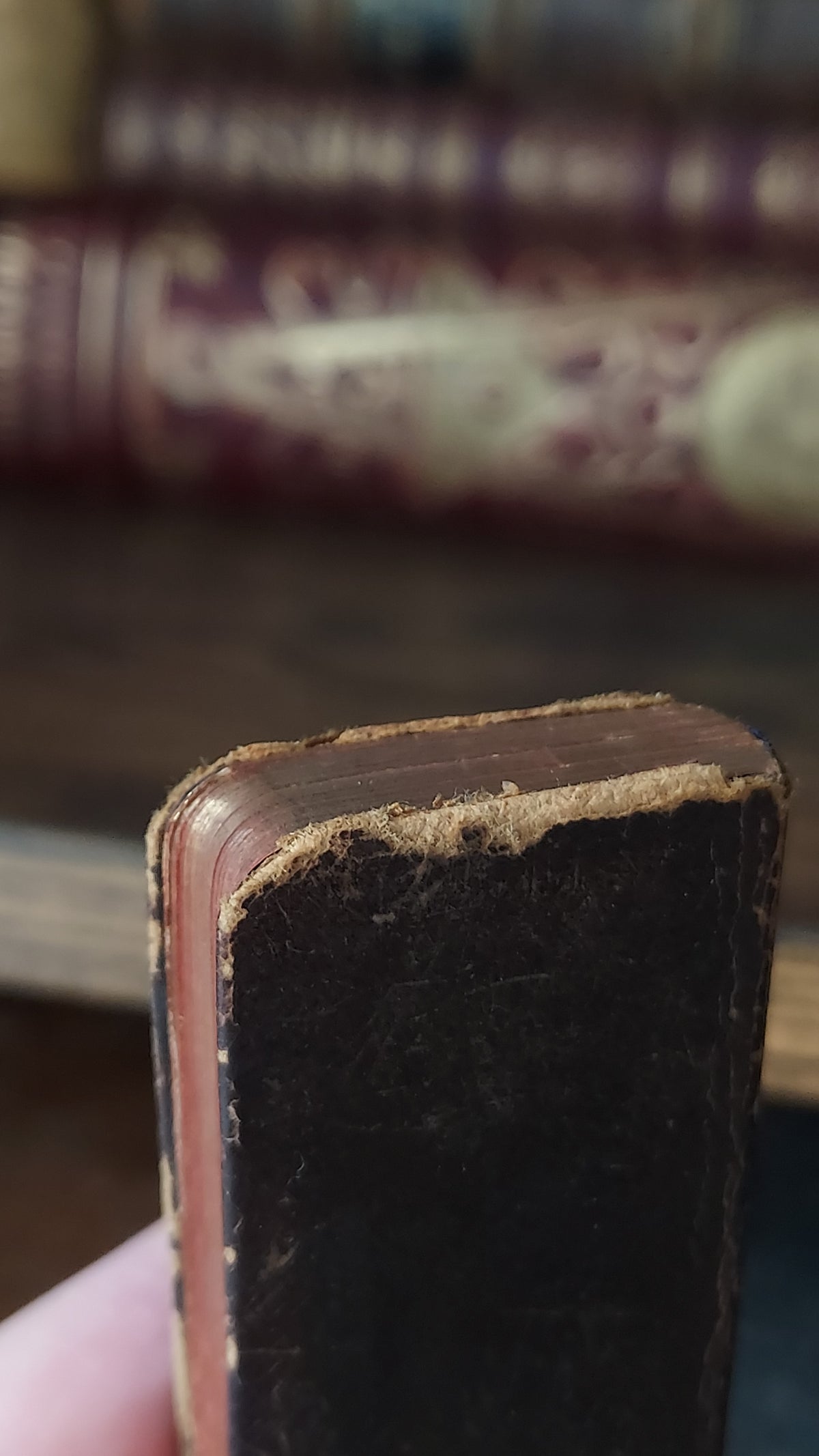 1890s The Book of Common Prayer | Finger Bible