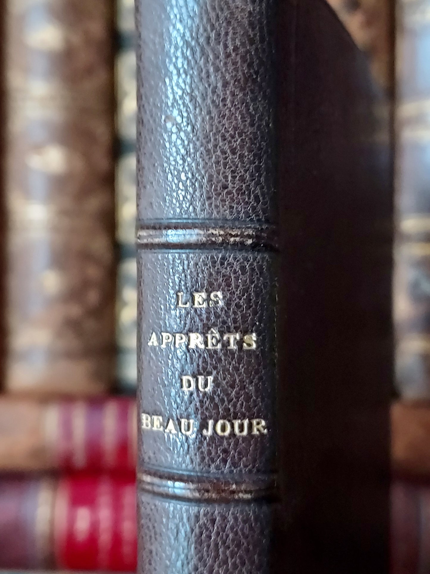 1874 Les Apprêts du beau jour: First Communion Book feat. Blue Pages & Fleur-De-Lis