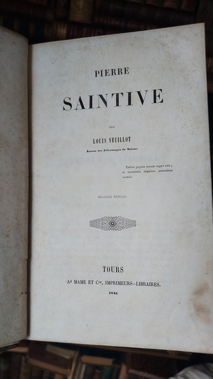 1845 Pierre Saintive | Vine Motif Cartonnage