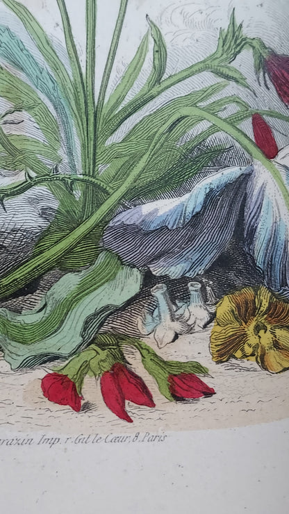 1867 Les Fleurs Animées | Grandville Brown Leather 2-Volume Set