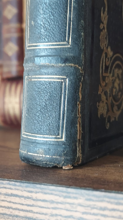 1845 Pierre Saintive | Vine Motif Cartonnage