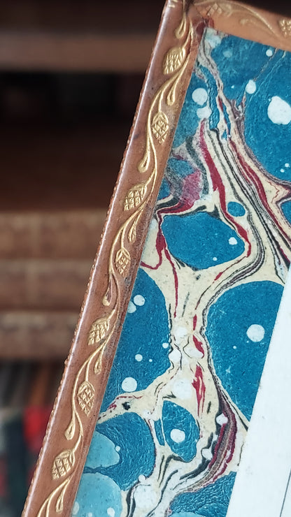 1882 Visits to Remarkable Places | Victorian Prize Binding