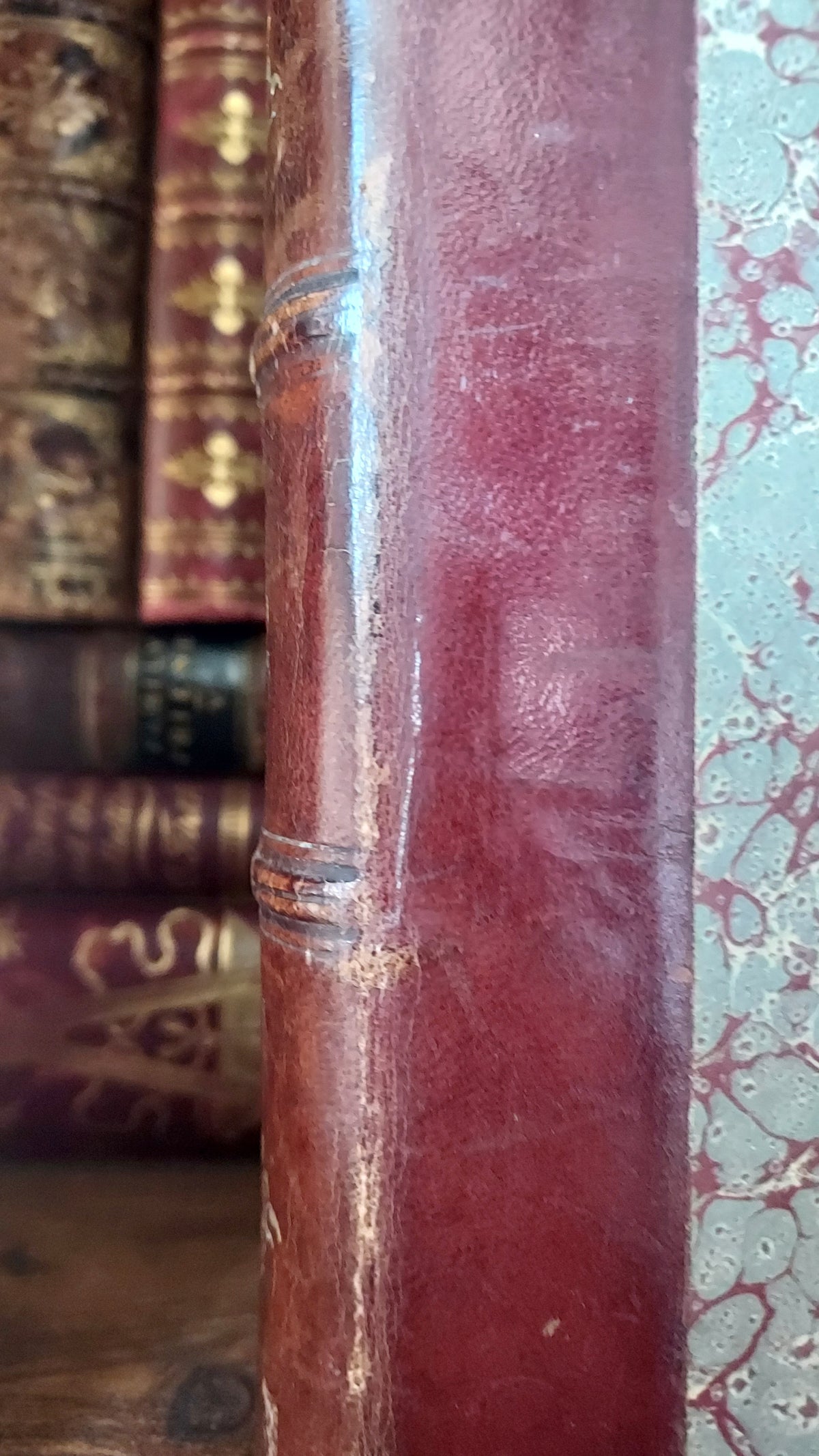 1867 Les Fleurs Animées | Grandville Brown Leather 2-Volume Set