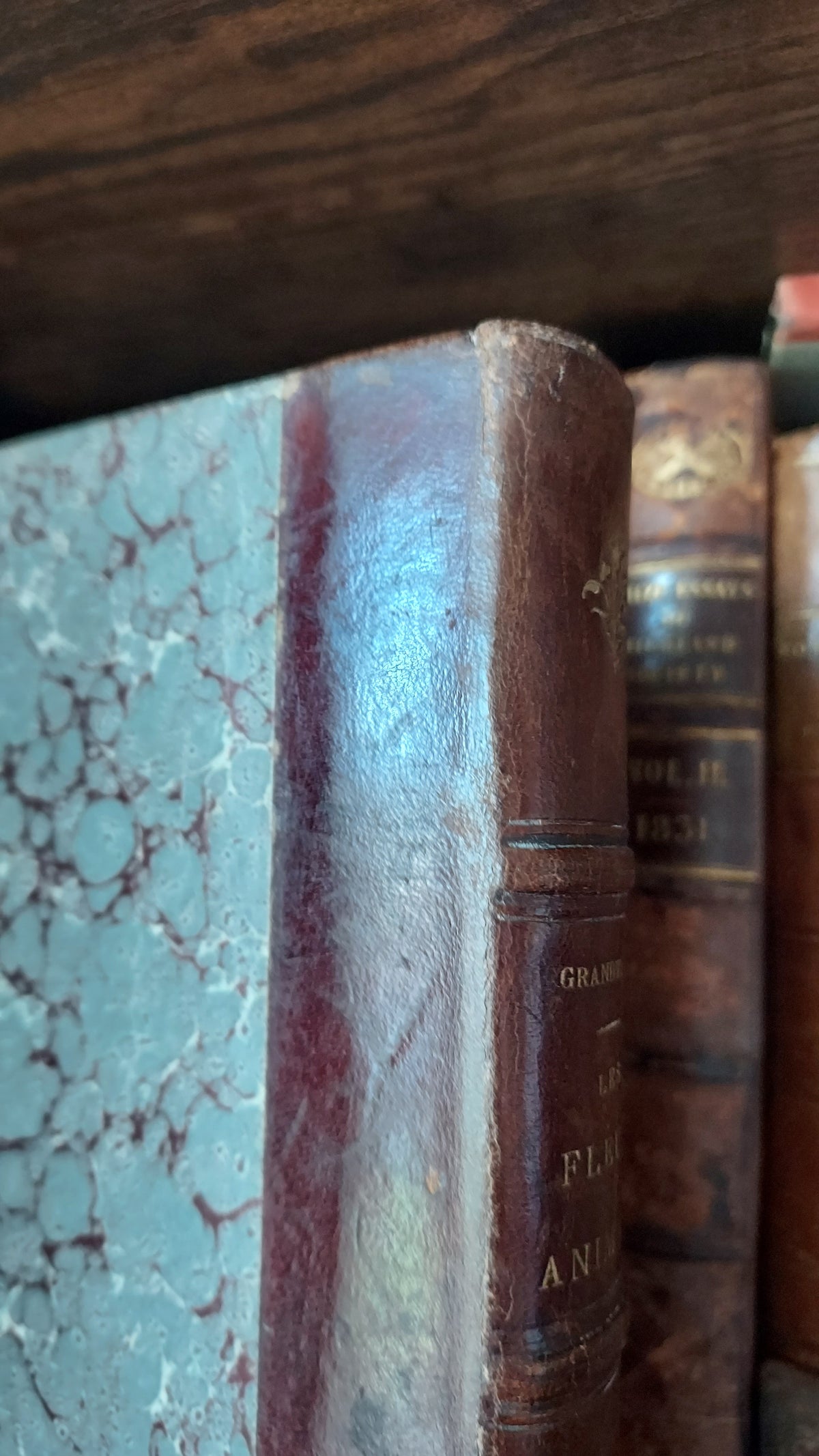 1867 Les Fleurs Animées | Grandville Brown Leather 2-Volume Set