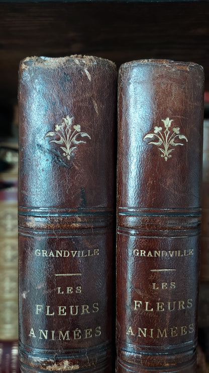 1867 Les Fleurs Animées | Grandville Brown Leather 2-Volume Set