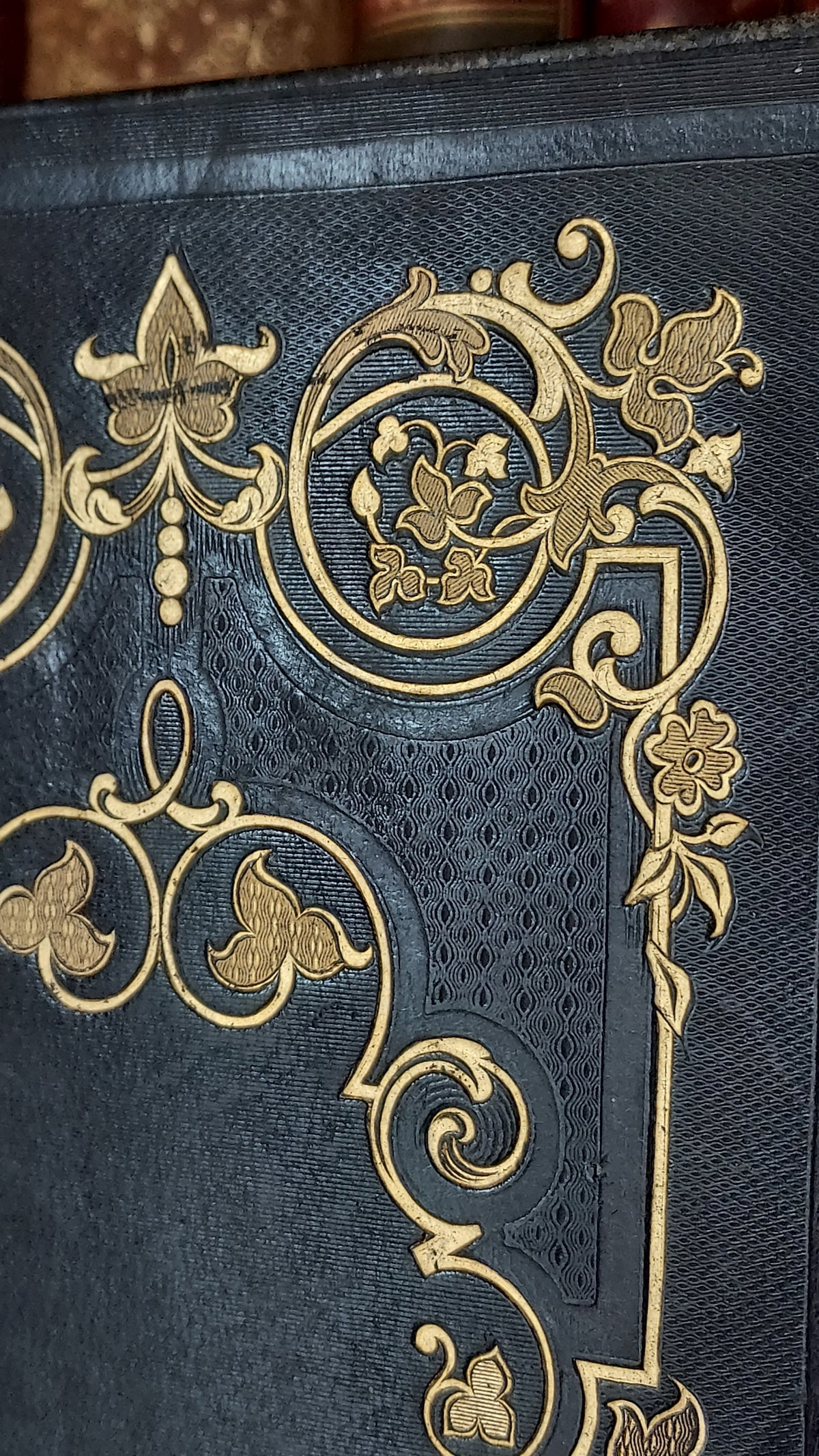 1845 Pierre Saintive | Vine Motif Cartonnage