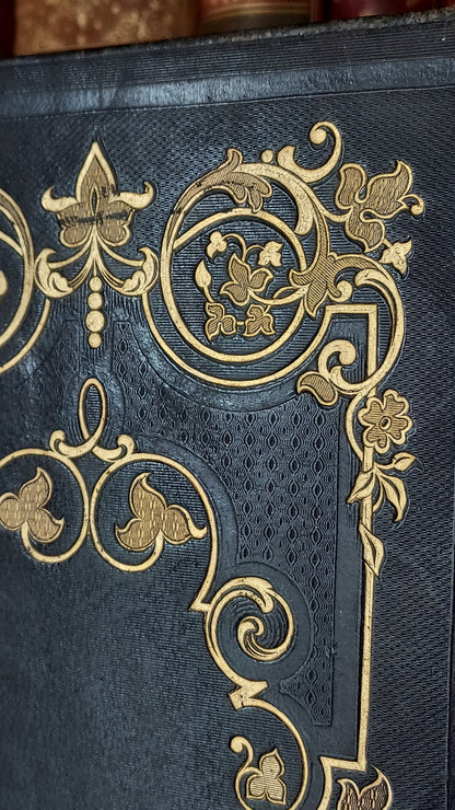 1845 Pierre Saintive | Vine Motif Cartonnage