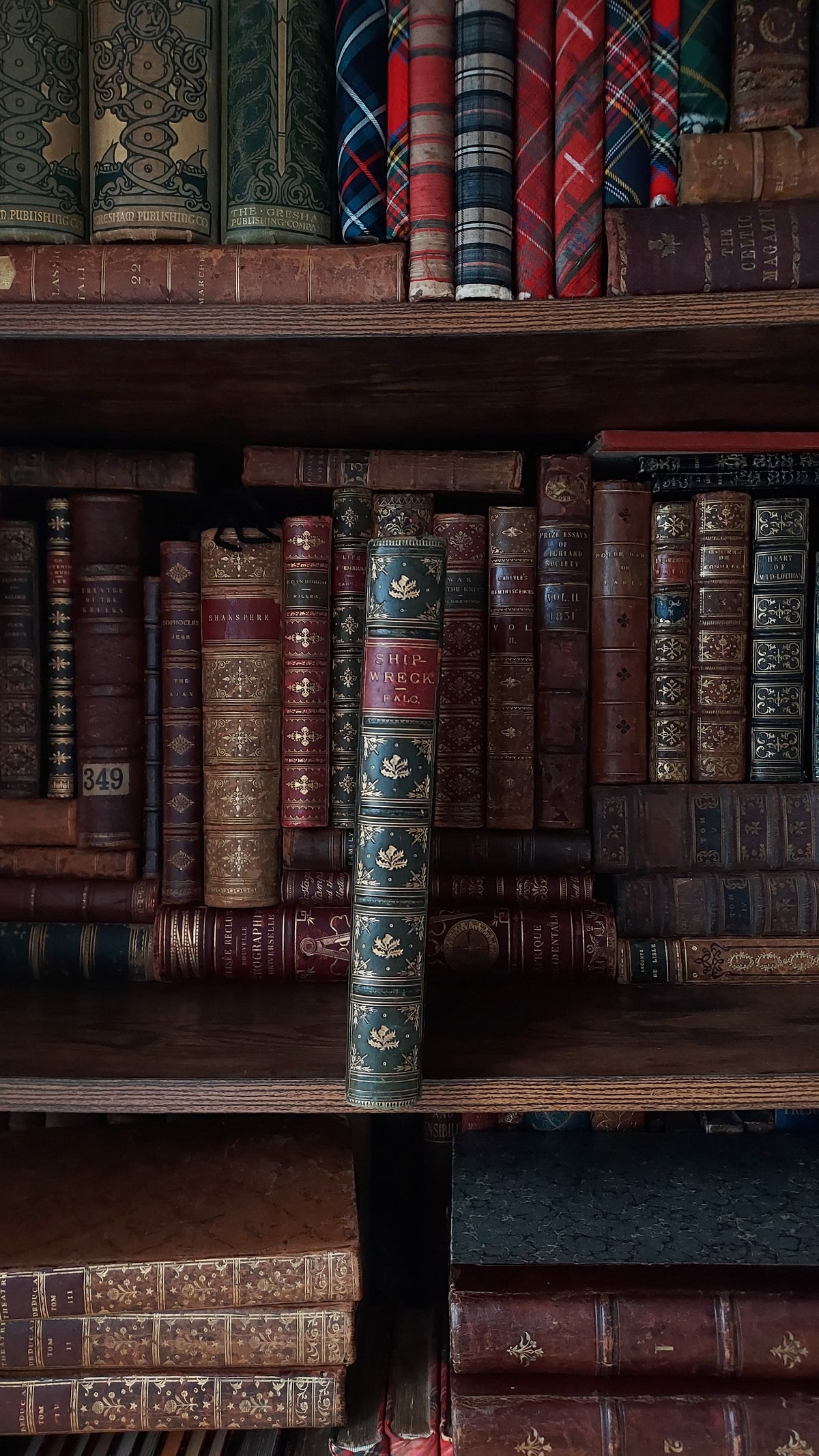 1804 The Shipwreck: A Poem | Green Leather & Thistles