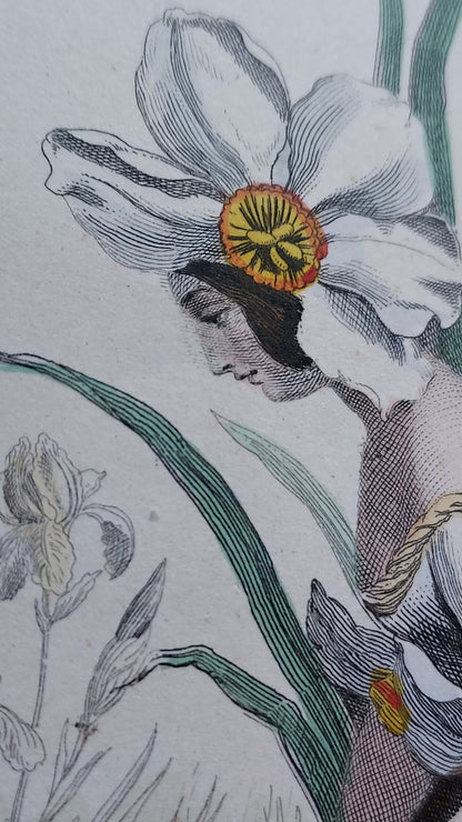 1867 Les Fleurs Animées | Grandville Brown Leather 2-Volume Set
