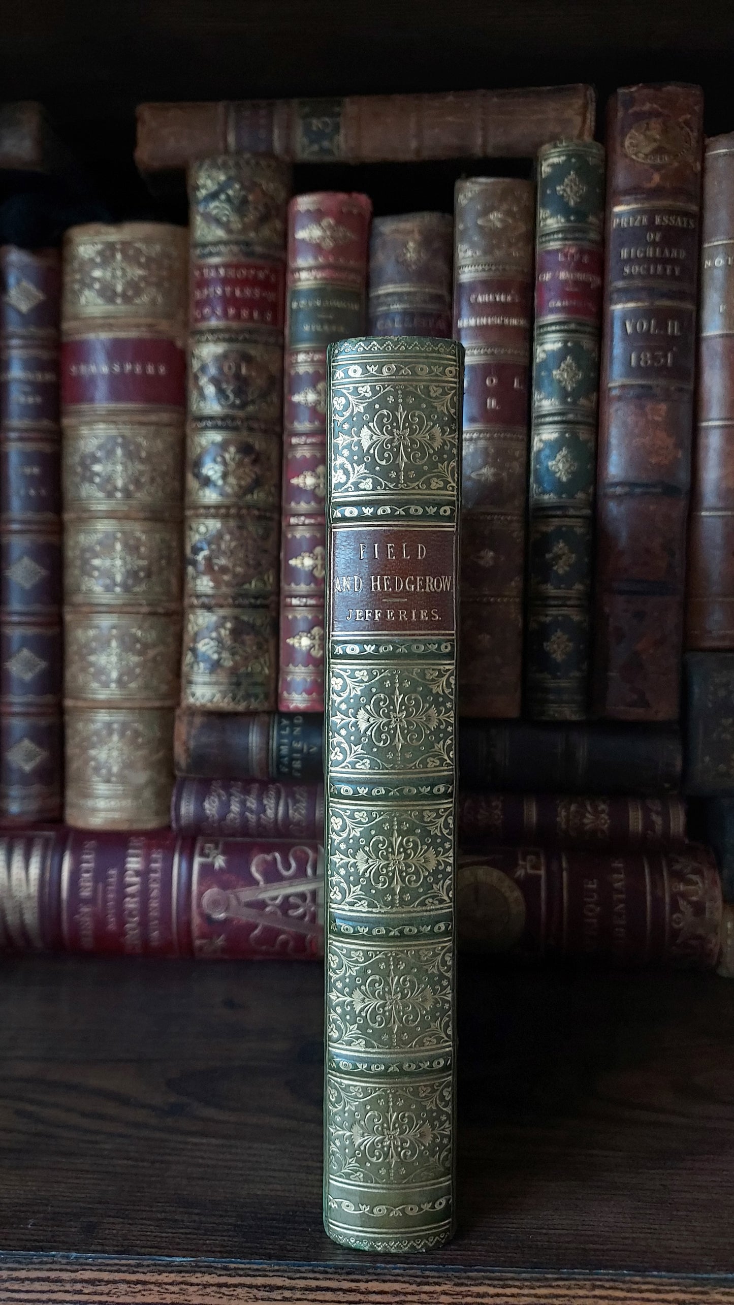 1897 Field and Hedgegrow | St. Andrew's School Fine Prize Binding