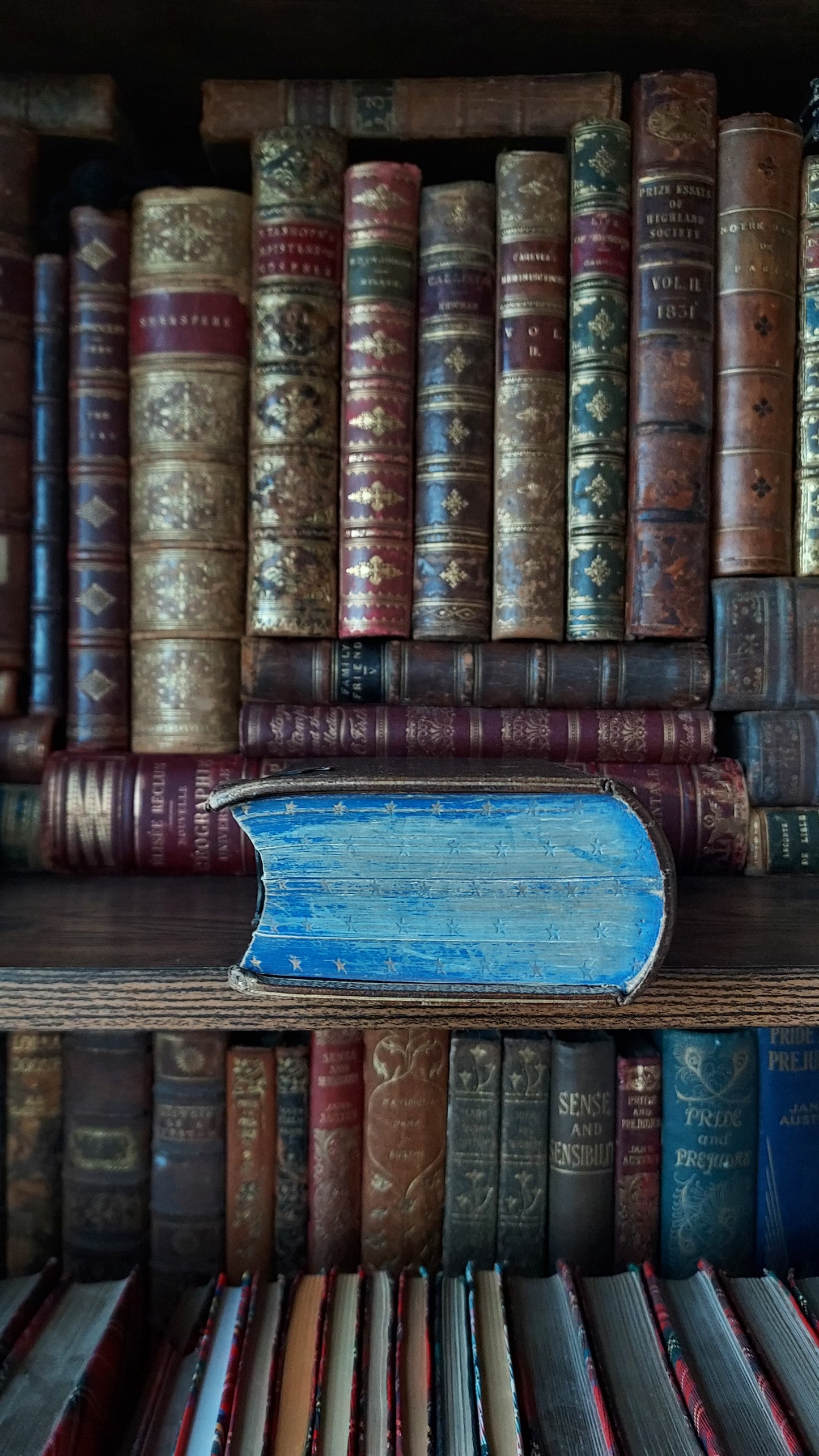 1857 Paroissien Romain | Gauffered Star Blue Edge