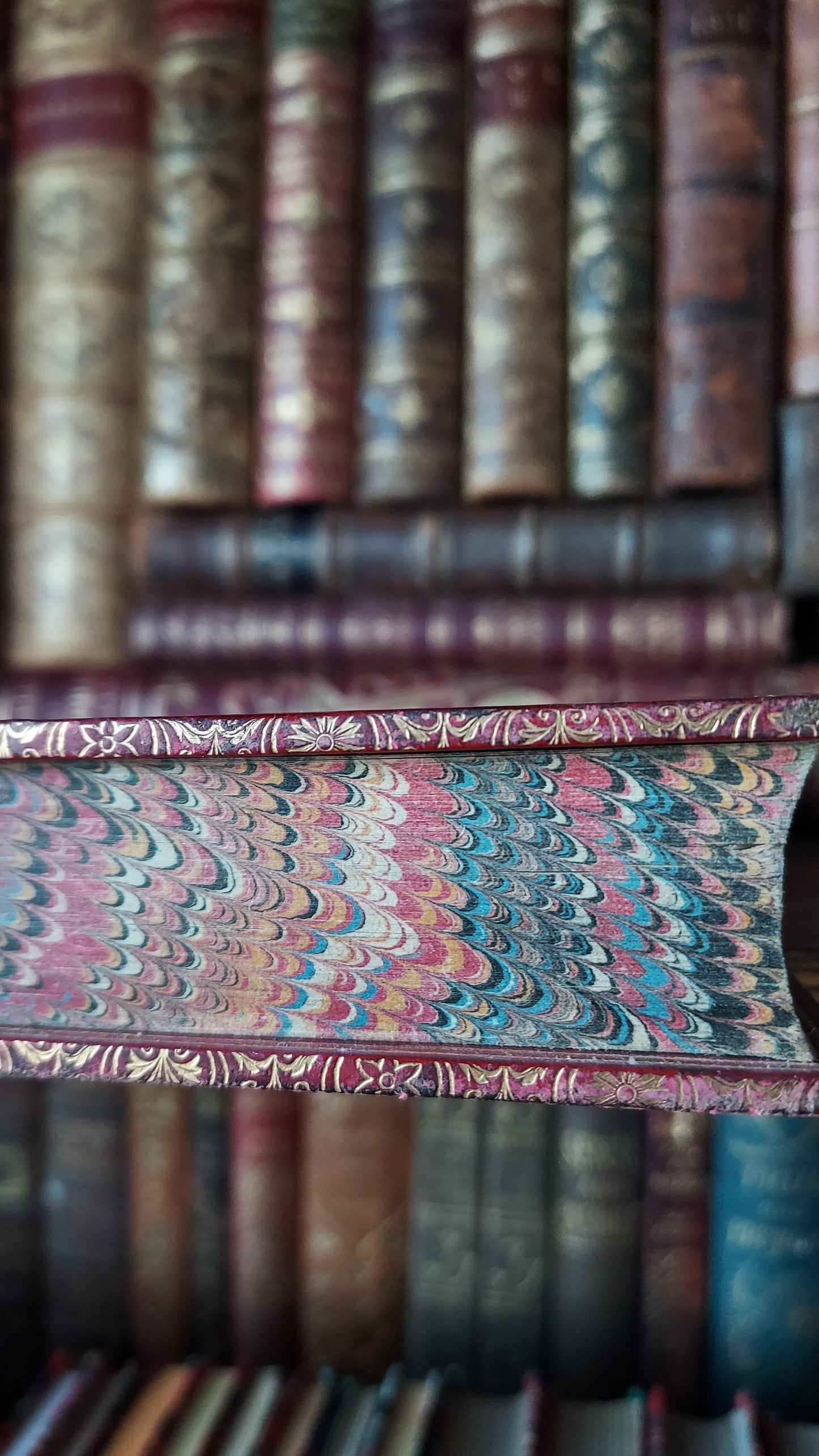 1850 The Bible History of the Holy Land | Harrow Fine Prize Binding