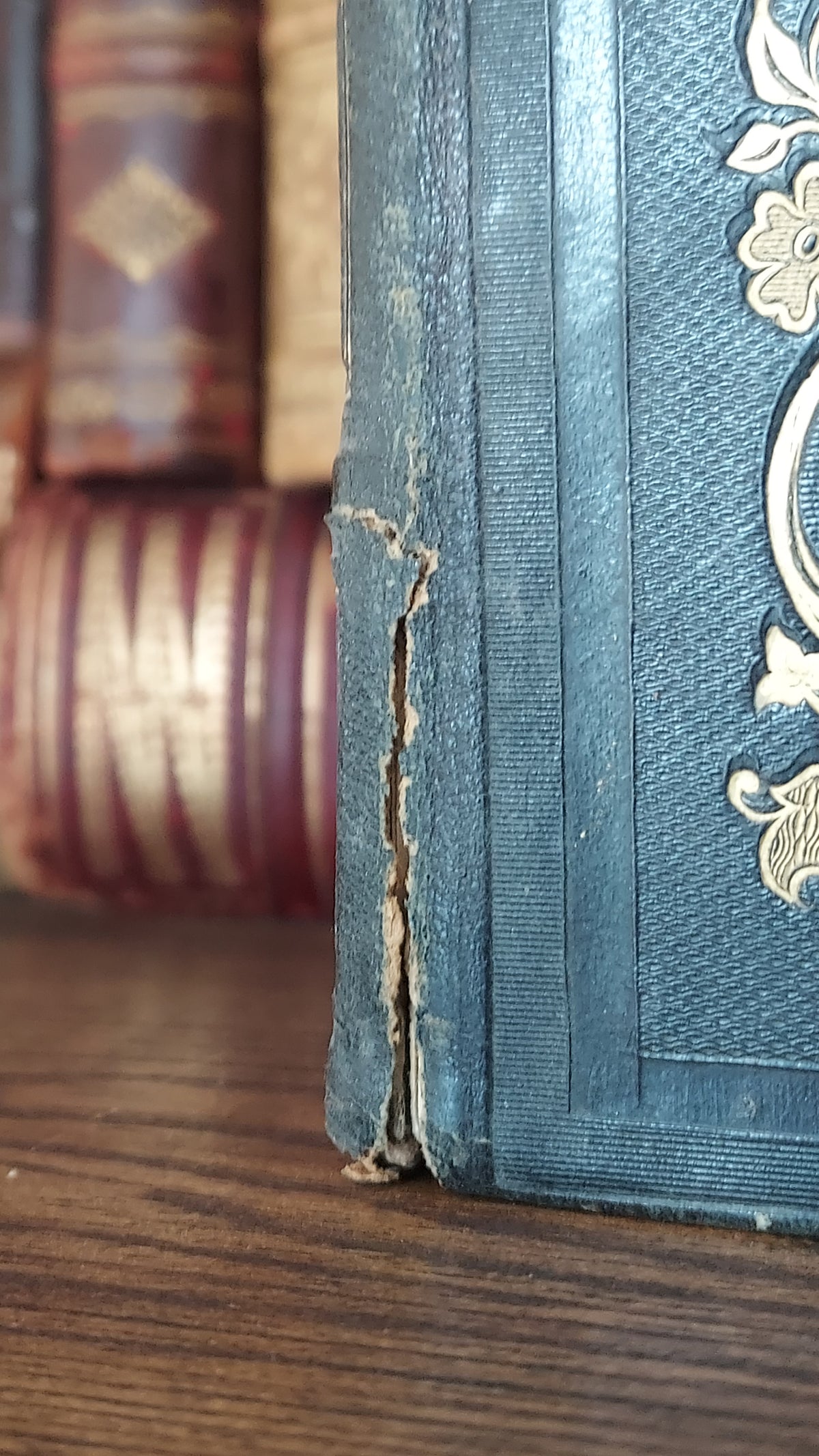 1845 Pierre Saintive | Vine Motif Cartonnage