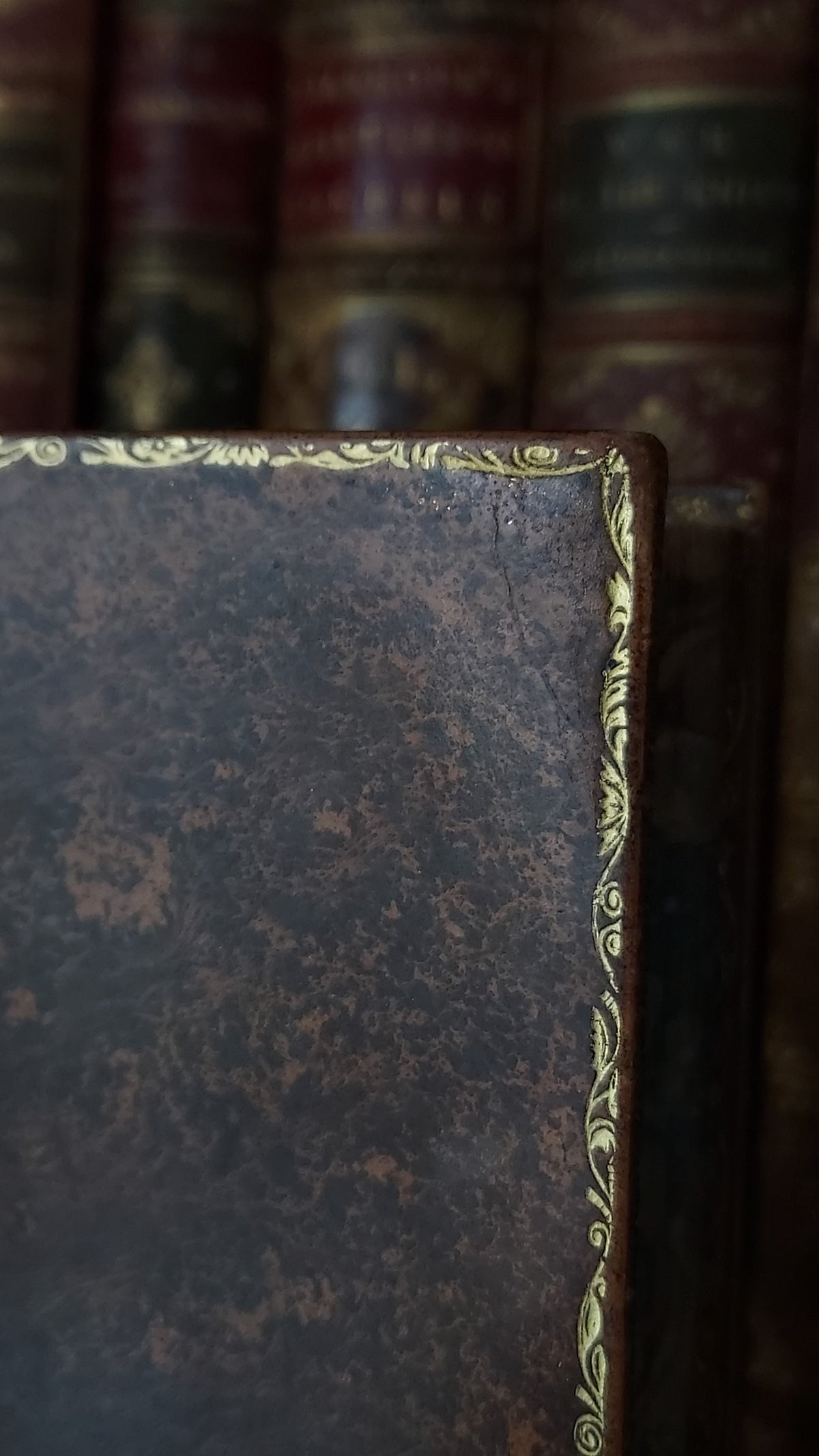 1882 Visits to Remarkable Places | Victorian Prize Binding