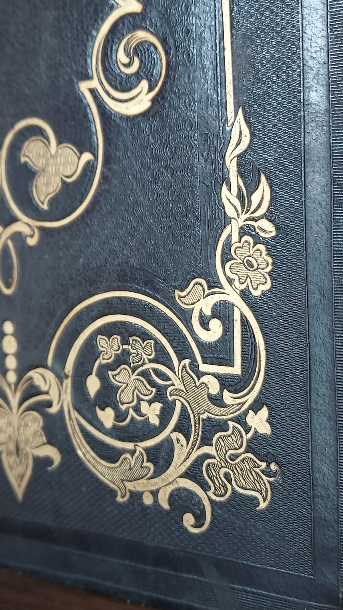 1845 Pierre Saintive | Vine Motif Cartonnage