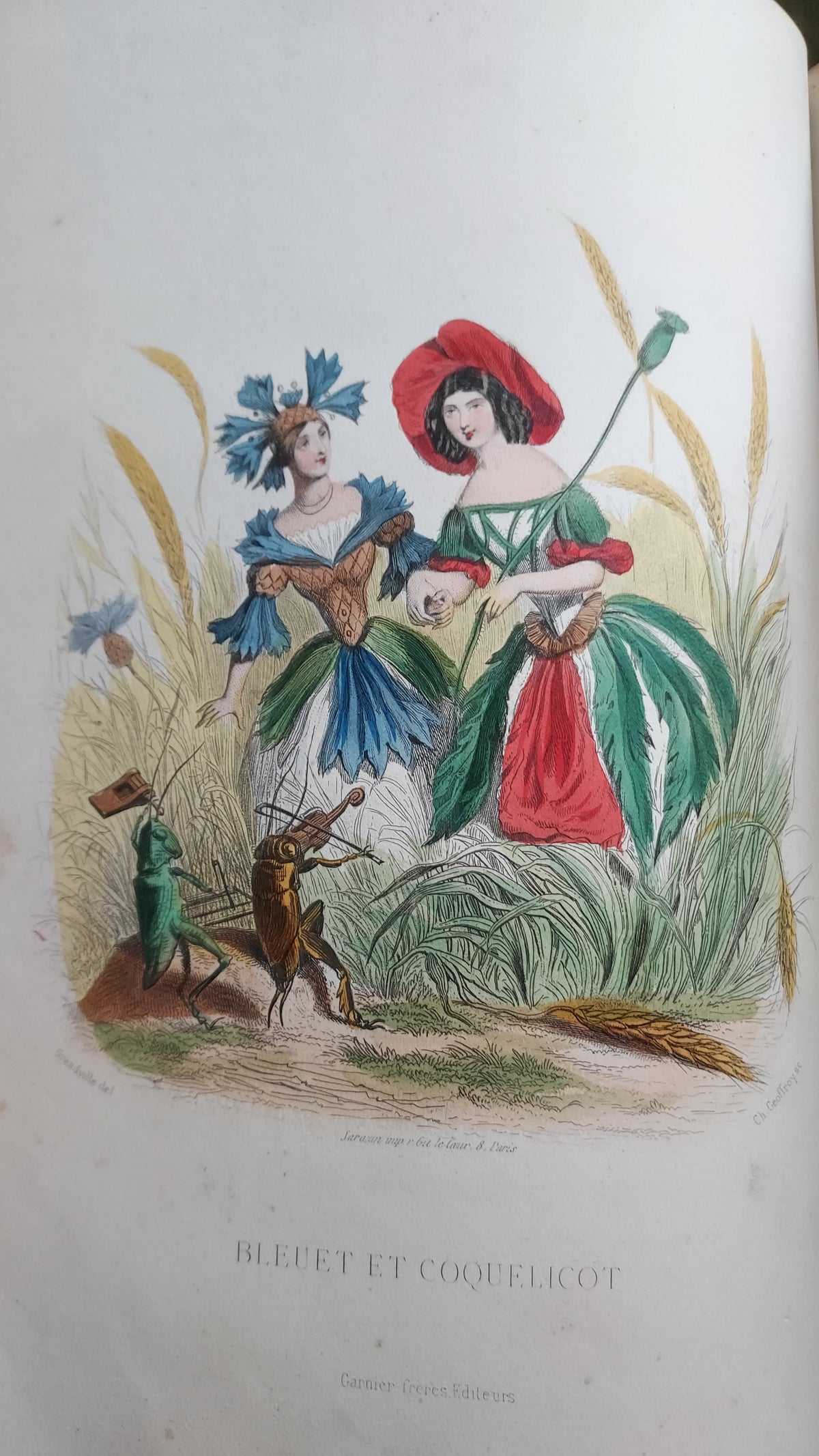 1867 Les Fleurs Animées | Grandville Brown Leather 2-Volume Set