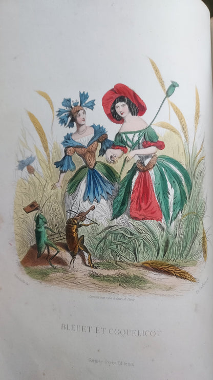 1867 Les Fleurs Animées | Grandville Brown Leather 2-Volume Set