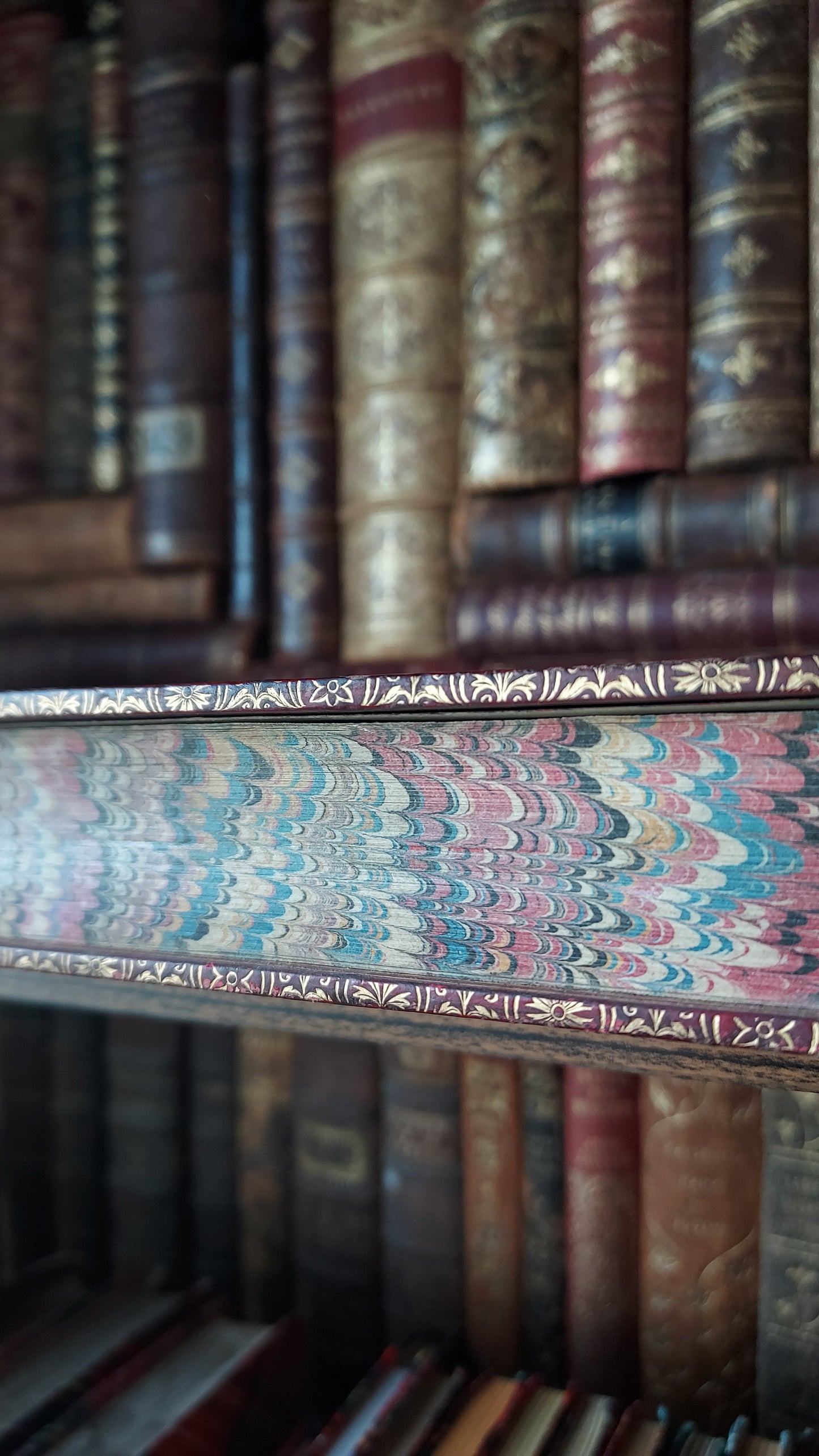 1850 The Bible History of the Holy Land | Harrow Fine Prize Binding