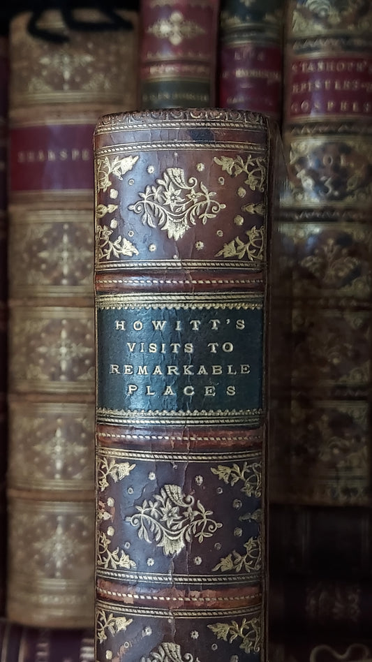 1882 Visits to Remarkable Places | Victorian Prize Binding