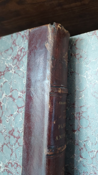 1867 Les Fleurs Animées | Grandville Brown Leather 2-Volume Set