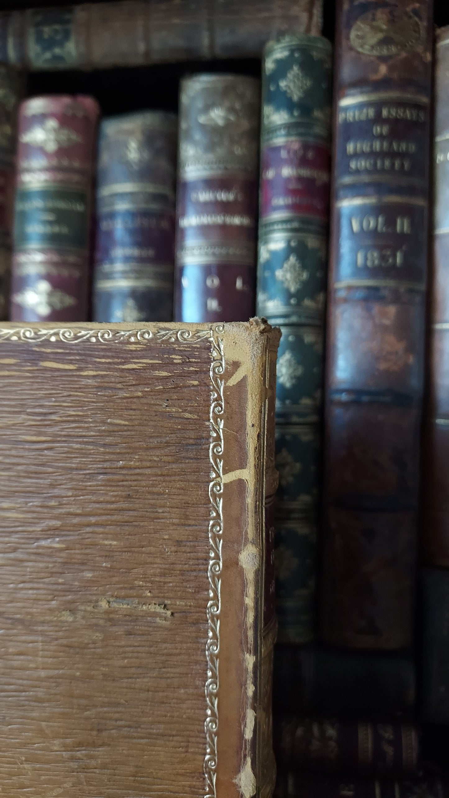 1911 Treasure Island | Prize Binding