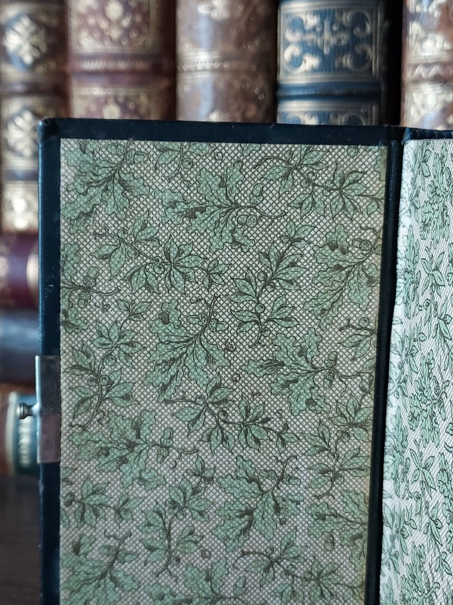 1880s Baum de Lebens | German Mother of Pearl Details