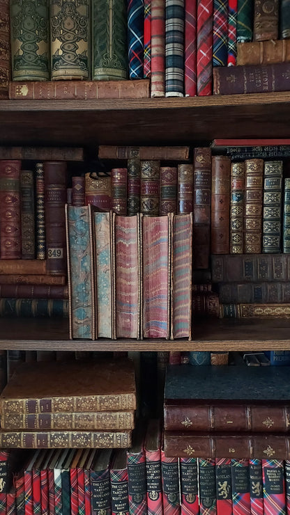 1882 Visits to Remarkable Places | Victorian Prize Binding
