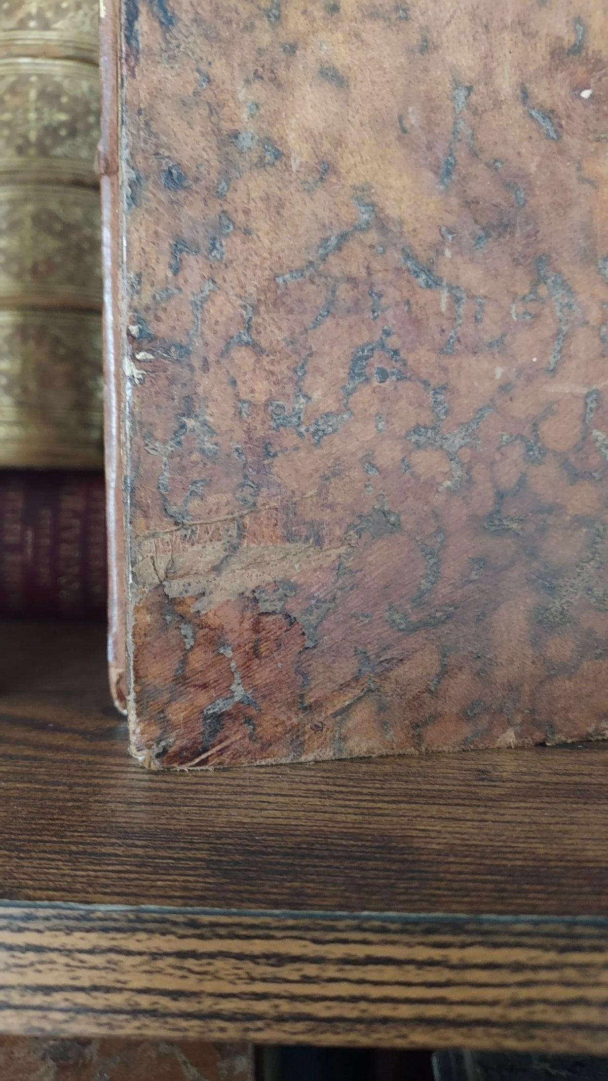 1776 Sermons de M. Massillon | 2-Volume Set w/Monastic Labels