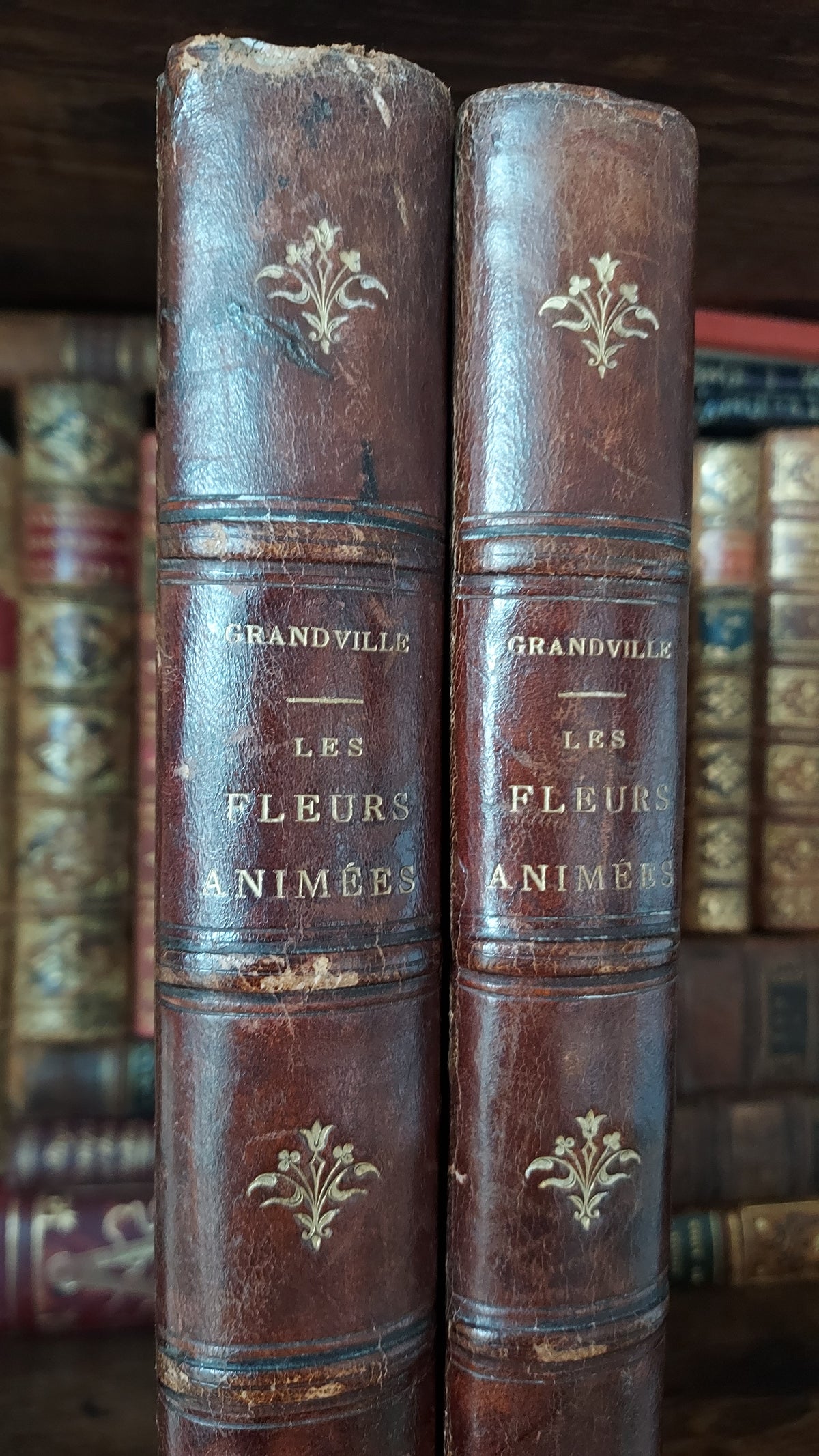 1867 Les Fleurs Animées | Grandville Brown Leather 2-Volume Set
