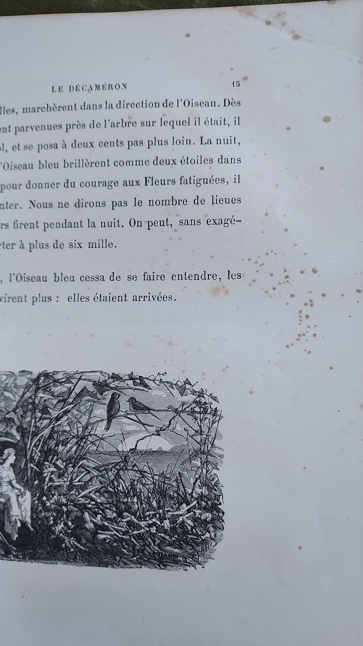1867 Les Fleurs Animées | Grandville Brown Leather 2-Volume Set